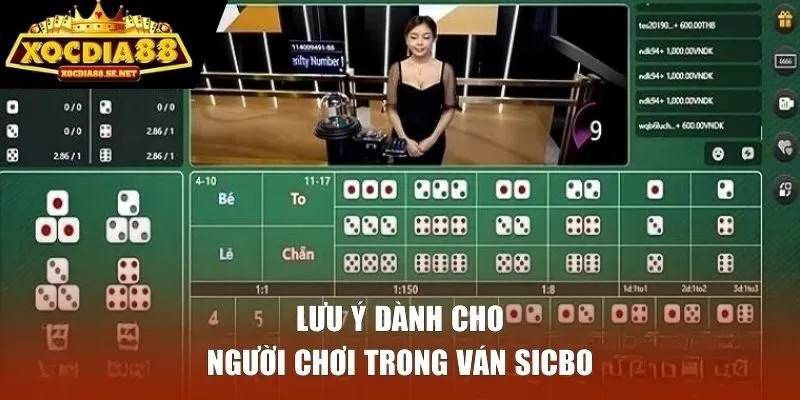 Lưu ý dành cho người chơi trong ván Sicbo
